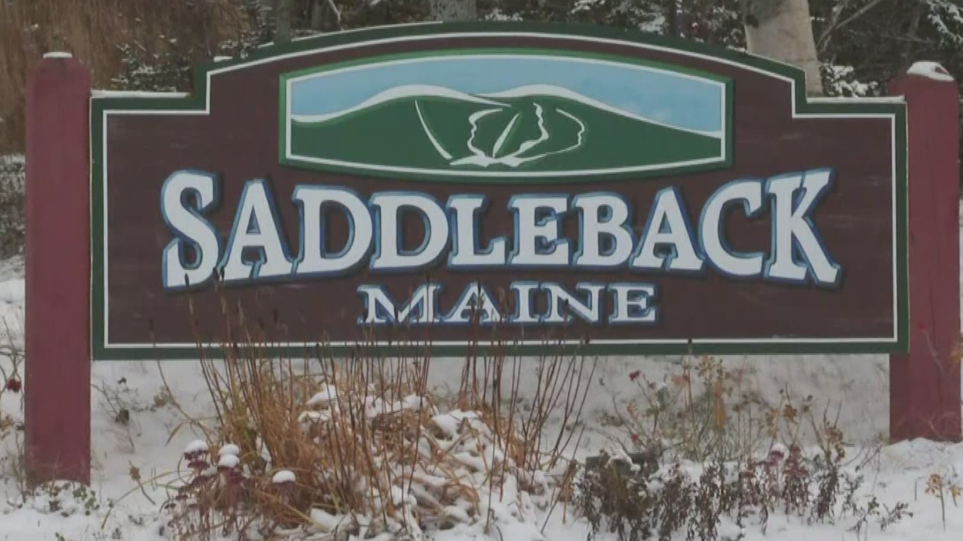 A Boston investment group says it has bought Saddleback and it could be up and running by next season.
