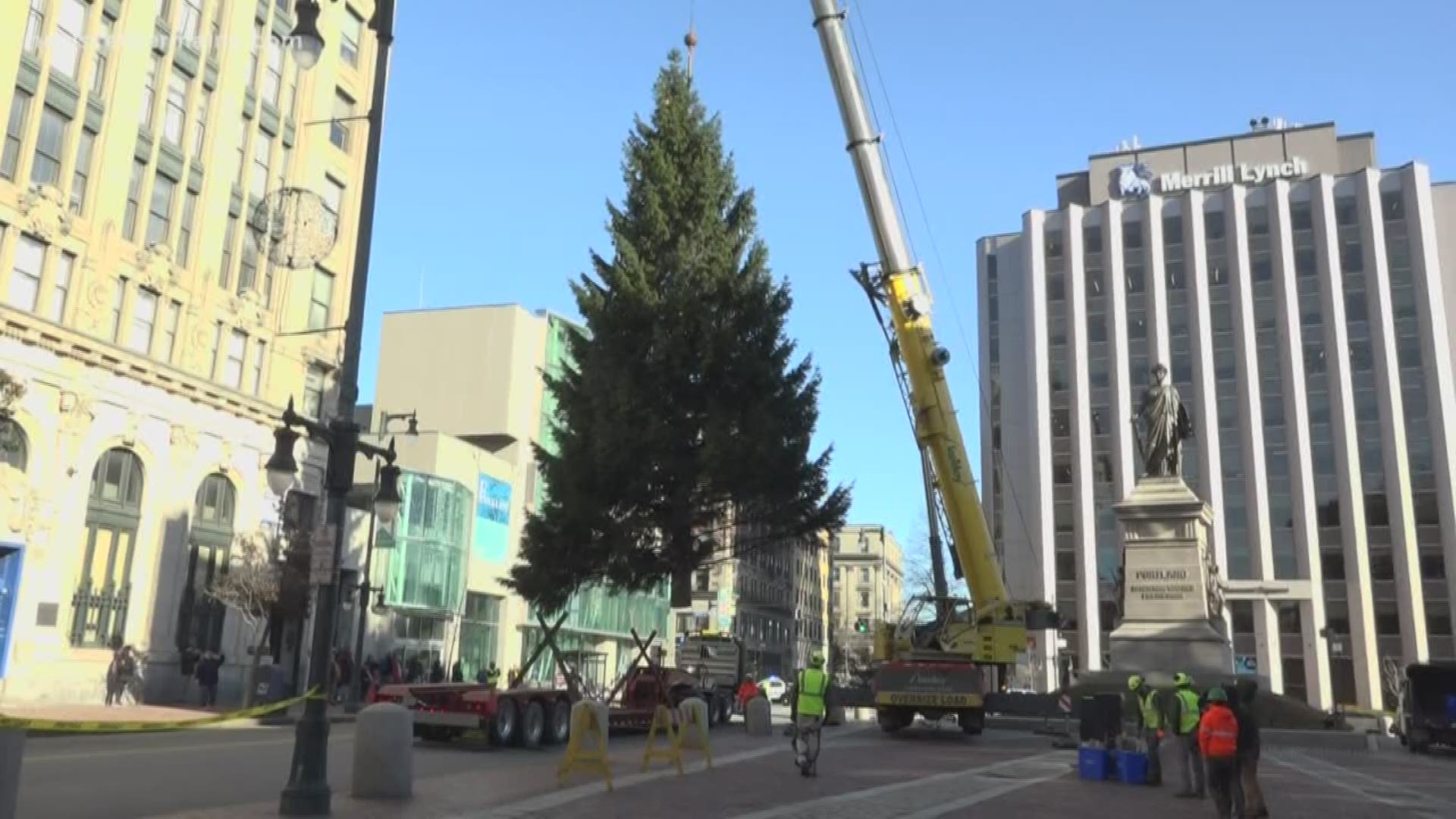 This year's tree is 55 feet tall and 30 feet wide. This is the first year the selected tree has been right near downtown.