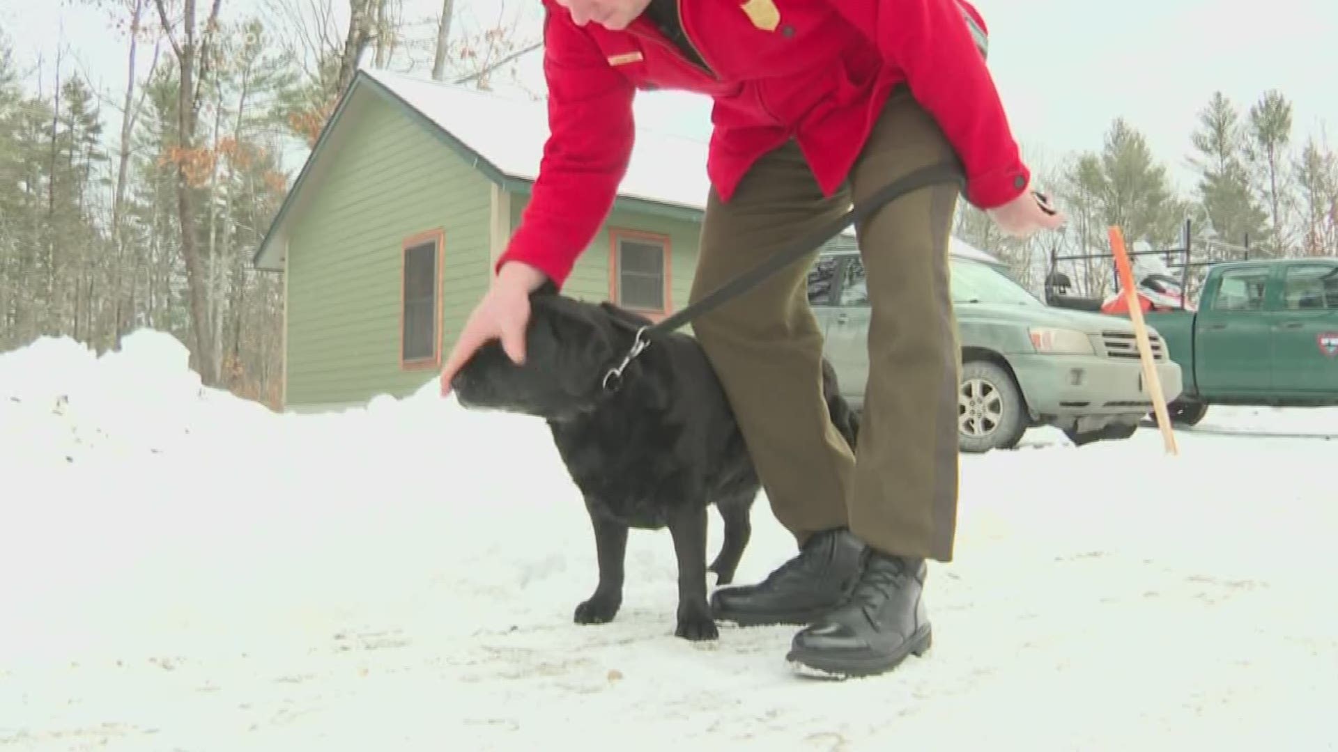 Warden search and rescue K-9 who found 22 missing people retires