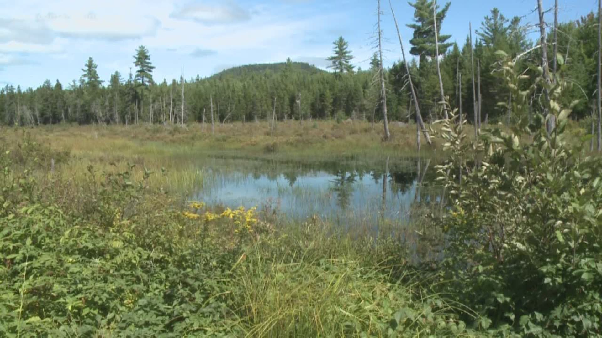 More than 26K acres in Maine North Woods to be protected