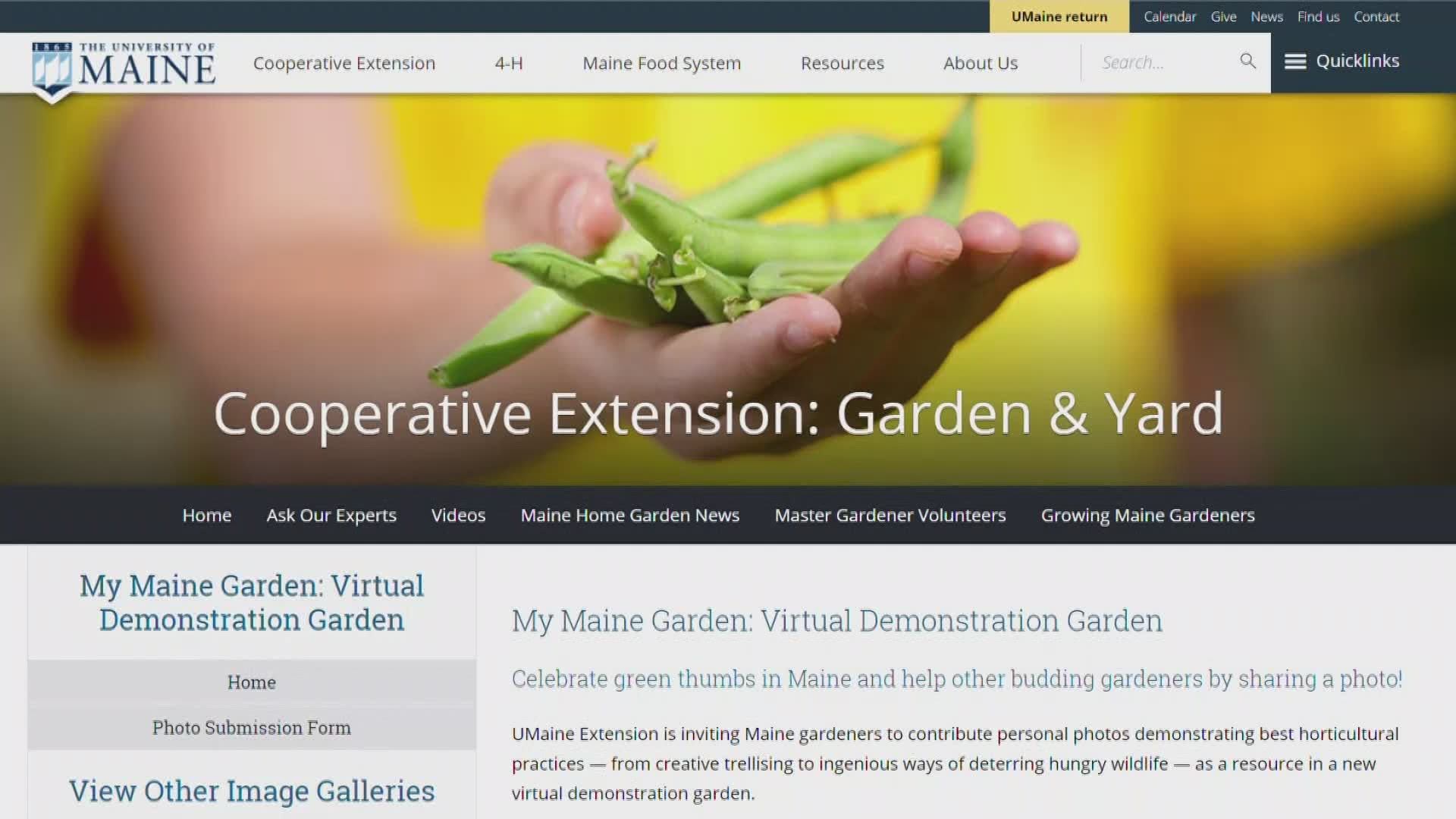 For old and new gardeners alike, the University of Maine Cooperative Extension has a new resource to help keep them connected.