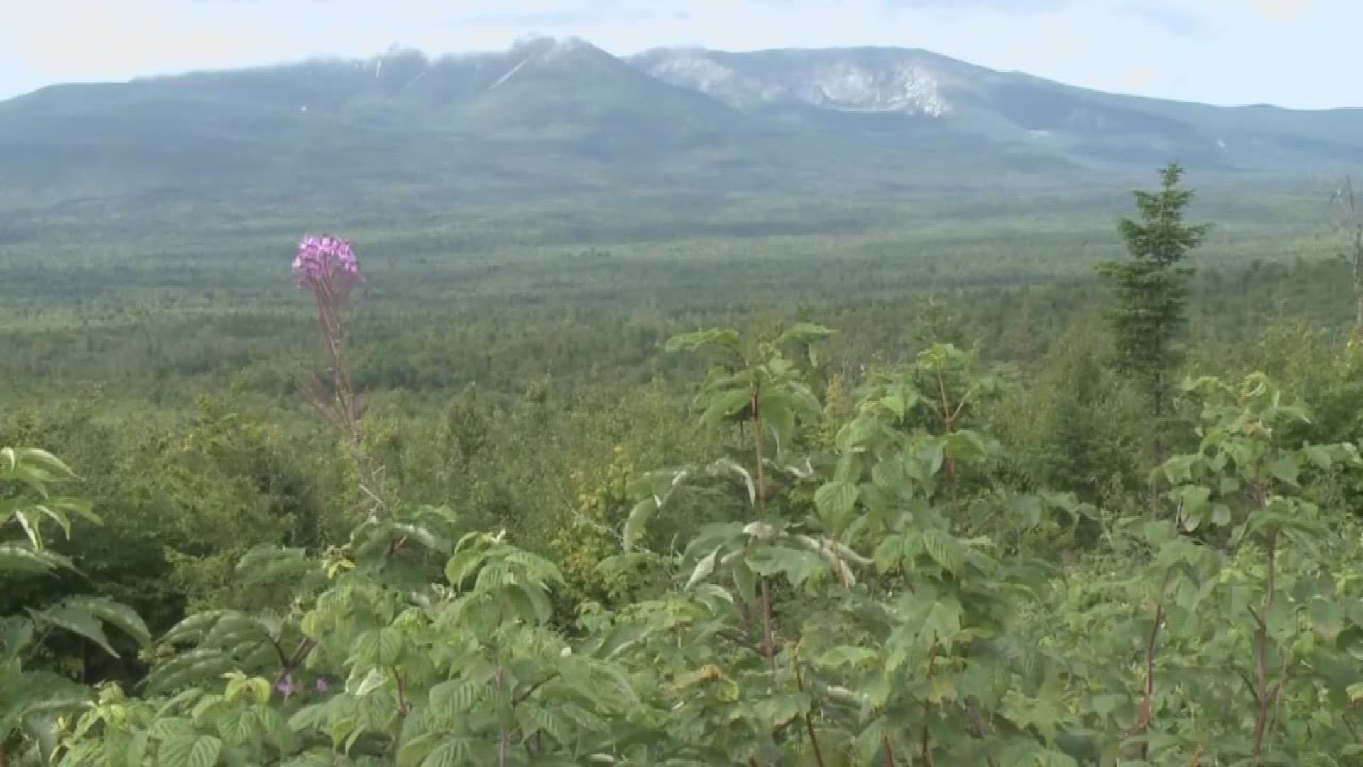 Green Outdoors: Officials say the Katahdin Woods and Waters National Monument saw 18,000 visitors last year -- and are expecting a five percent increase this year.