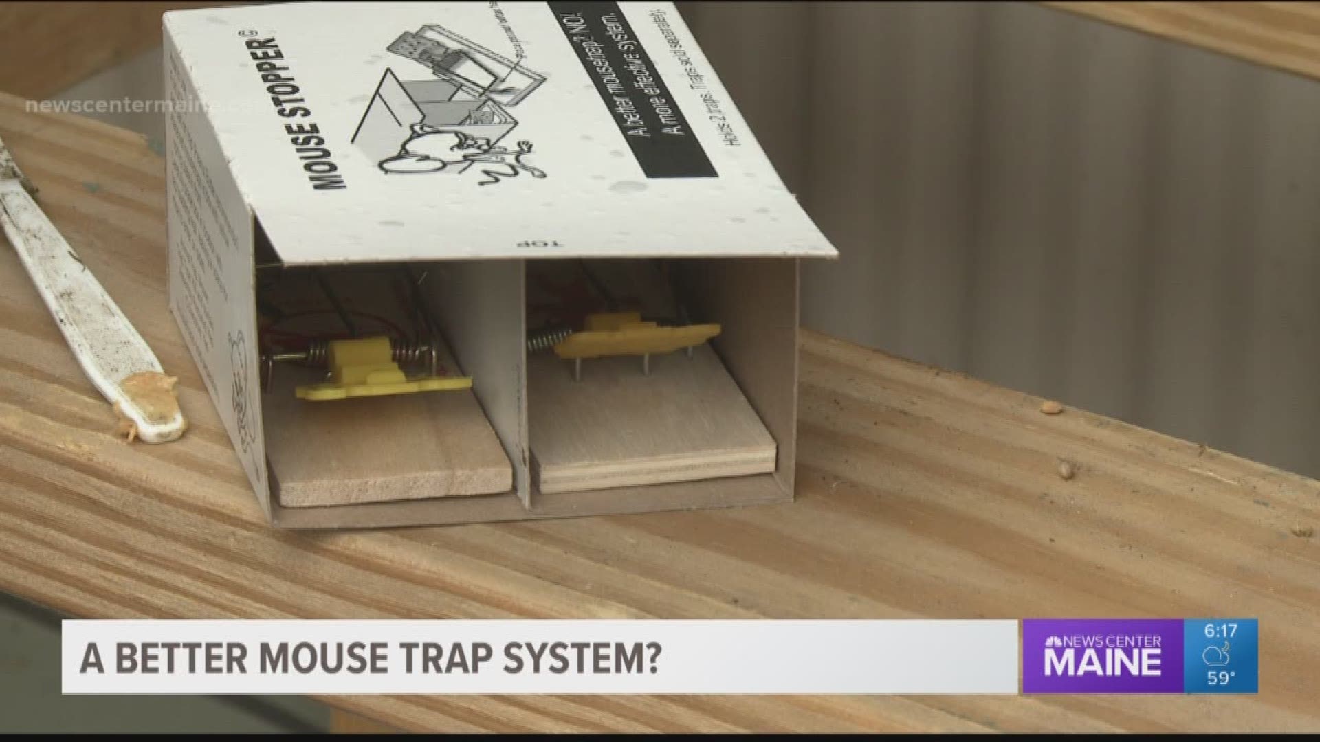 Green Outdoors: A better mouse trap