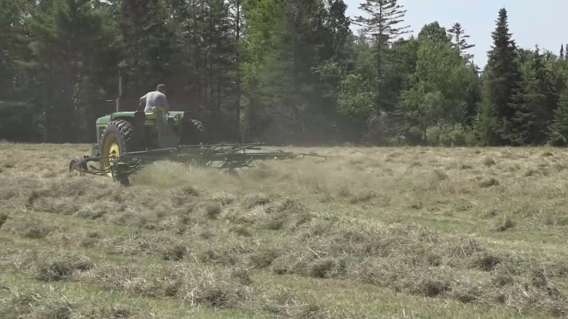 Hay farmers need enough time. Some say 3 days with no rain for hay to fully dry before it can be put away.