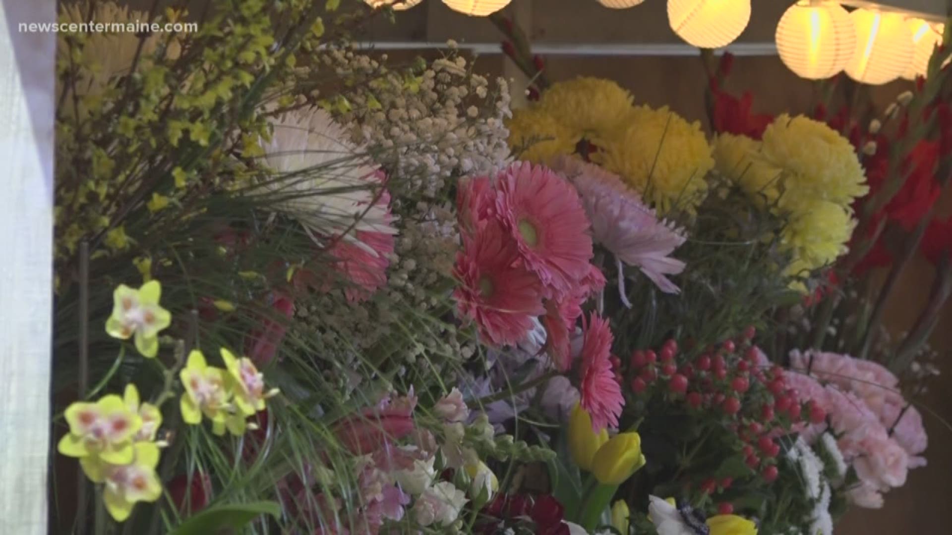 The Bangor Flower Show is running this weekend.