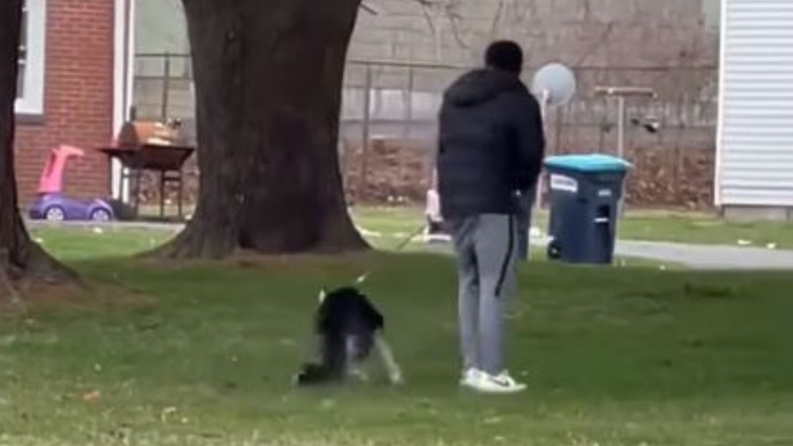 Suspect charged after video of alleged animal cruelty goes viral; dog ...