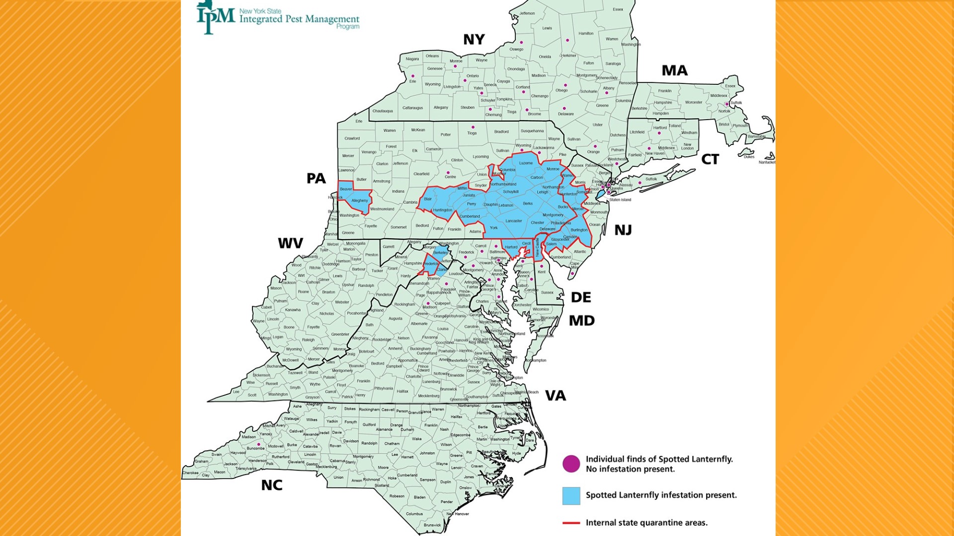 Invasive species spotted lanternfly eggs found in Maine ...