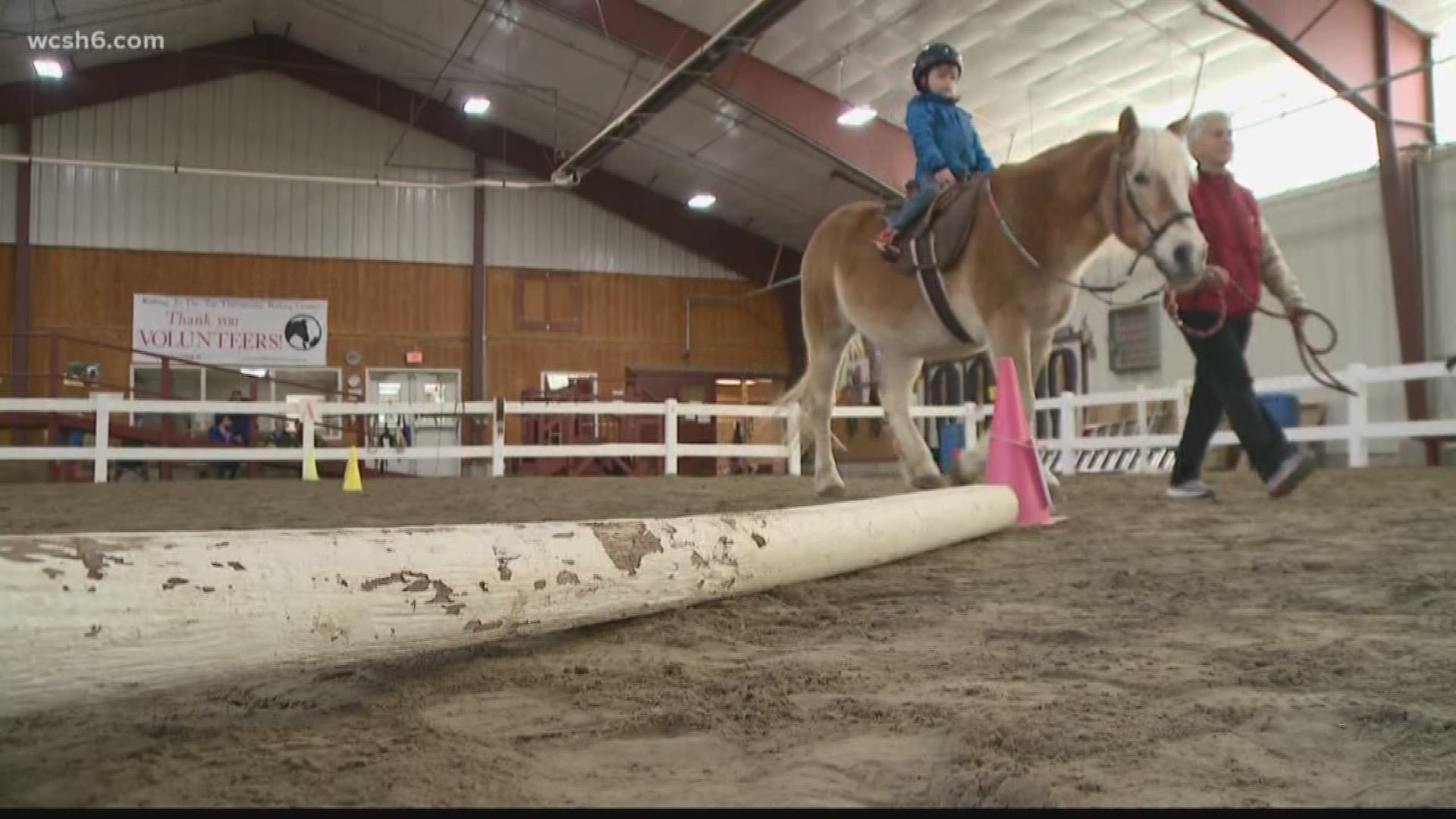 At riding to the Top, the horses are just as much employees as the people