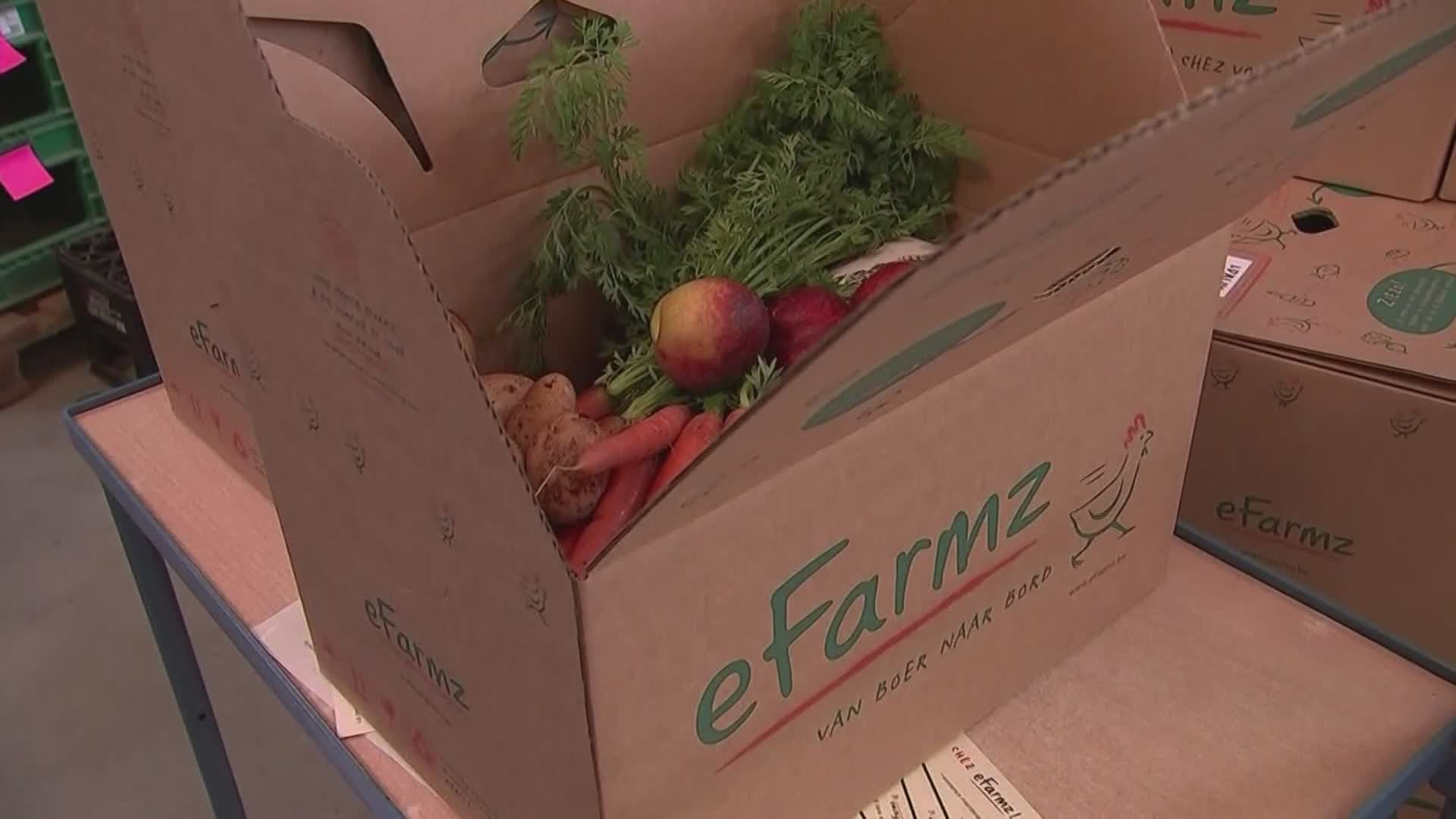 Maine not included in Farmers to Families Food Box Program