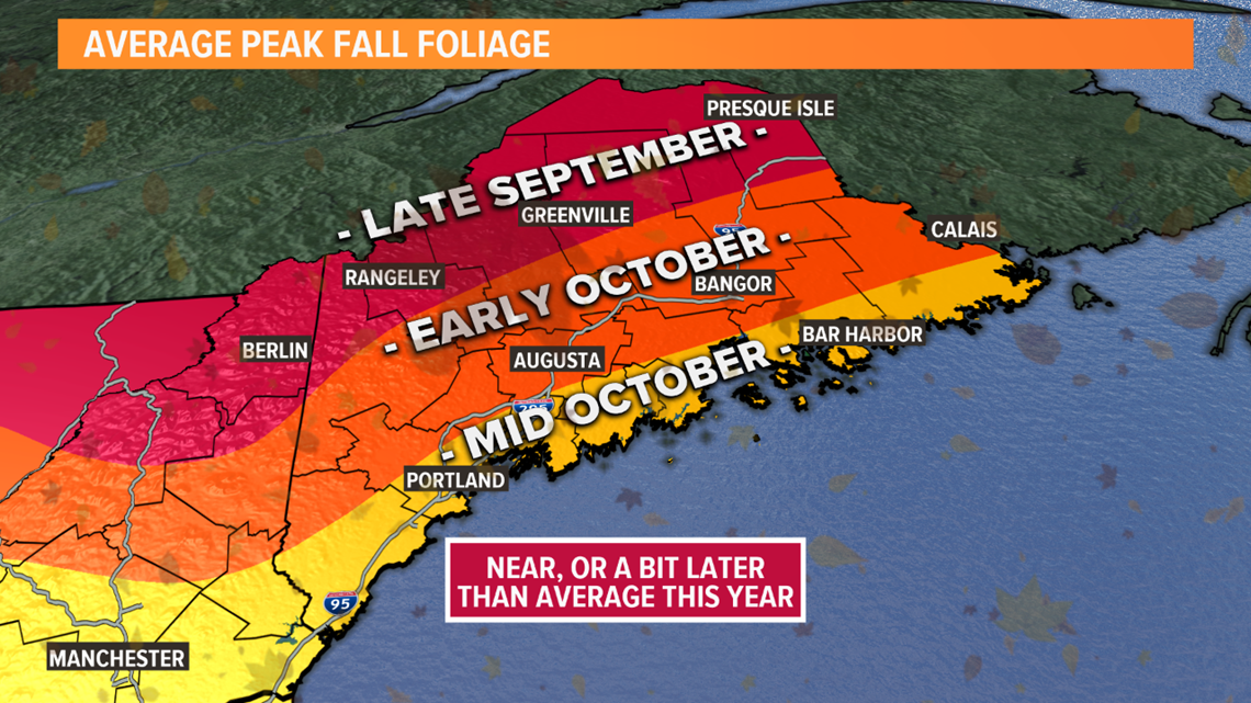 Peak Foliage Map 2024 Maine Leone