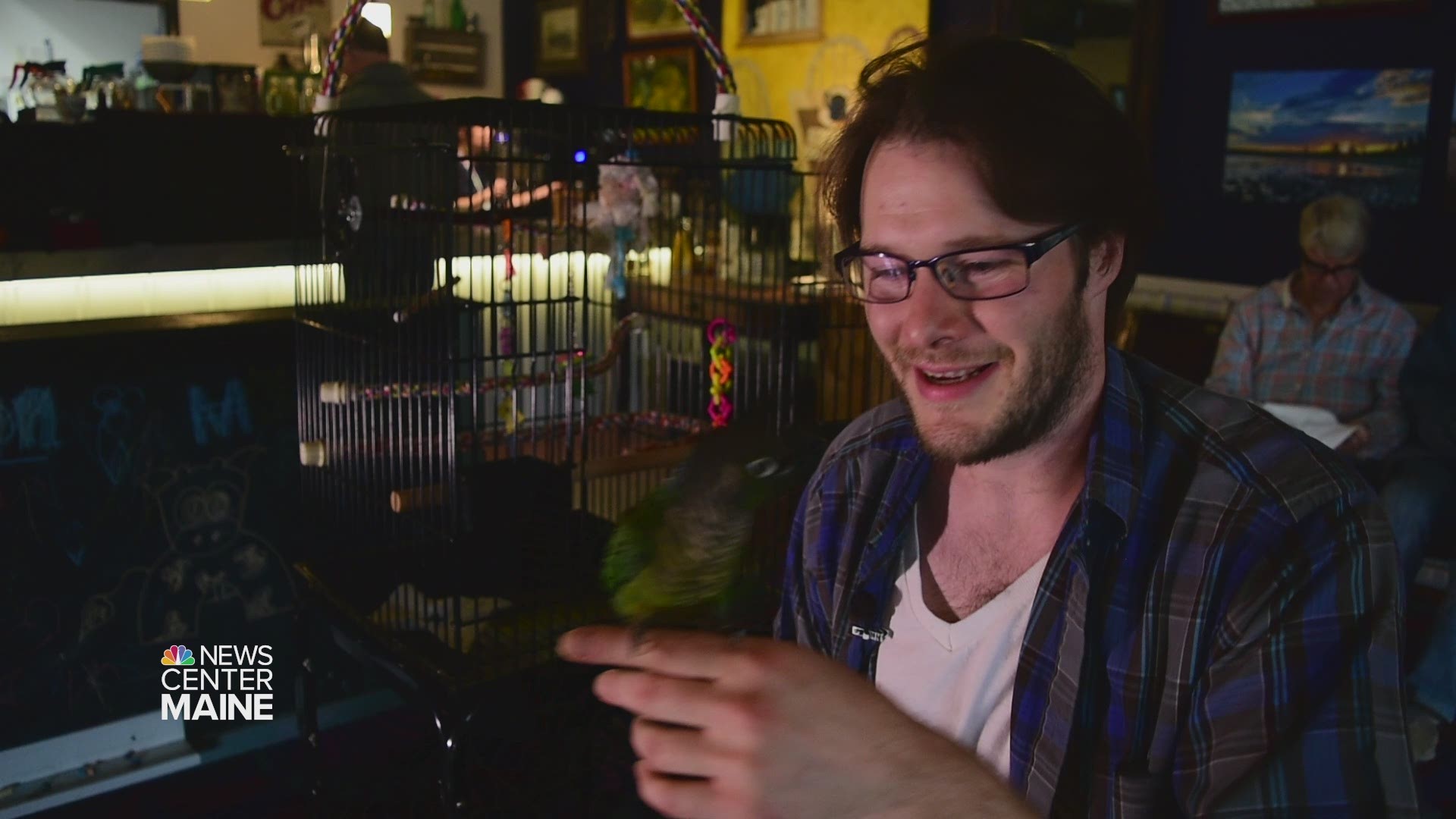 Feathered friends brew fun at Bangor family's coffee shop