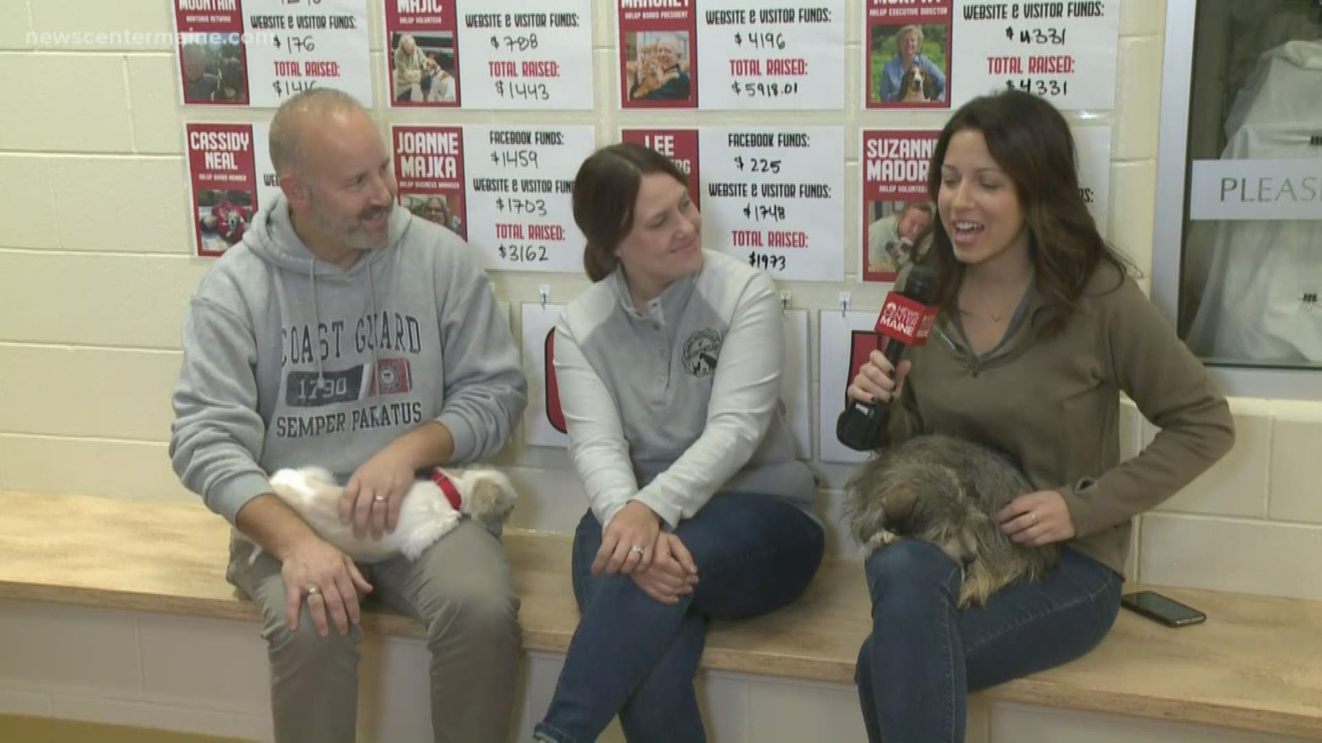 NEWS CENTER Maine's Amanda Hill and Lee Goldberg spent the night at Animal Refuge League for new fundraiser.