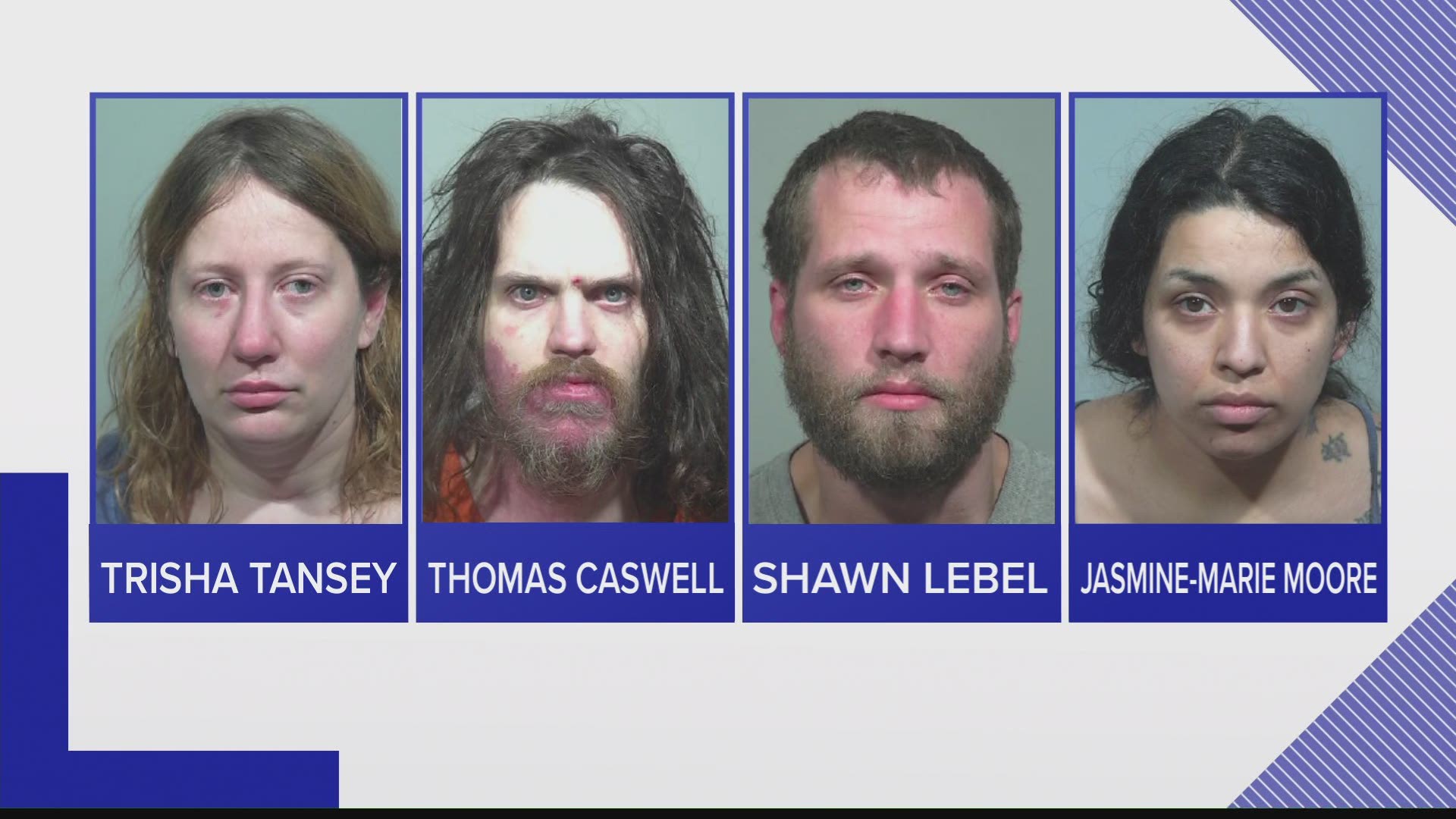Officers with the Cumberland county Sherrif's Office say they've made four arrests involving a significant amount of drugs and guns.