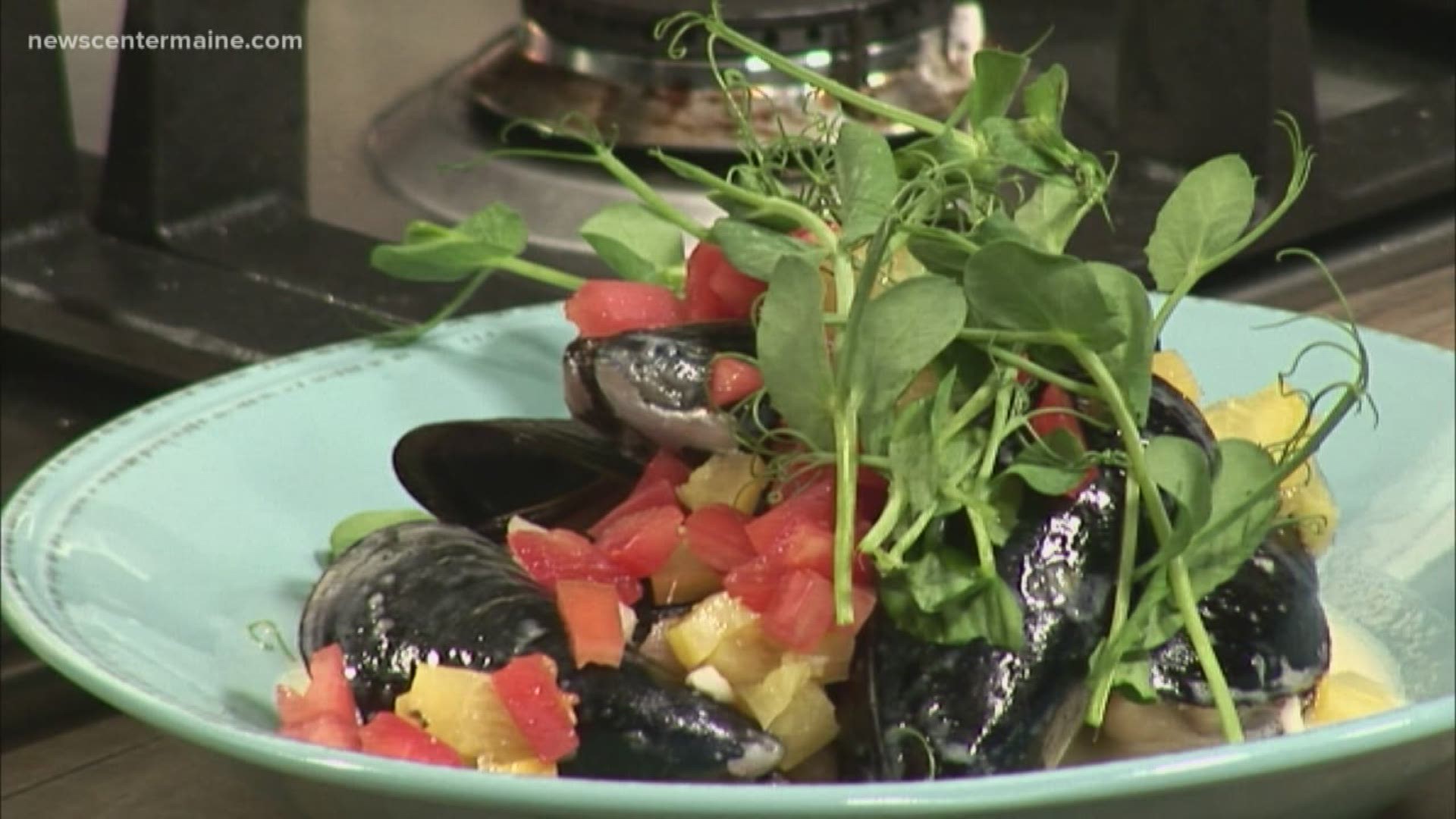 Sautéed mussels with fine herbs, fennel and tomato is a favorite on the Provender Kitchen + Bar menu.