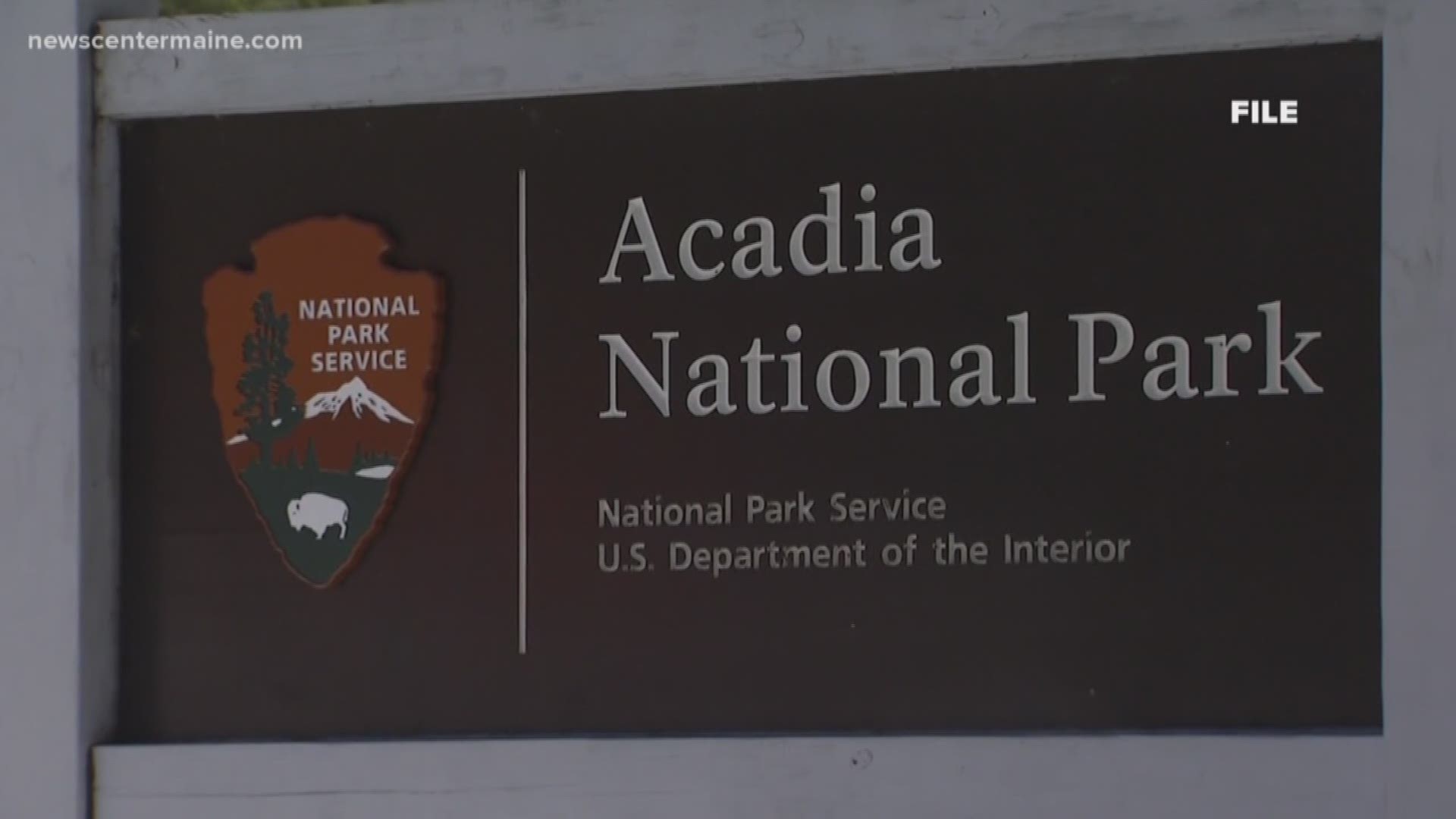 Acadia National Park is breaking visitor records this year but unfortunately, there are not enough places for them to park and it's causing big problems.