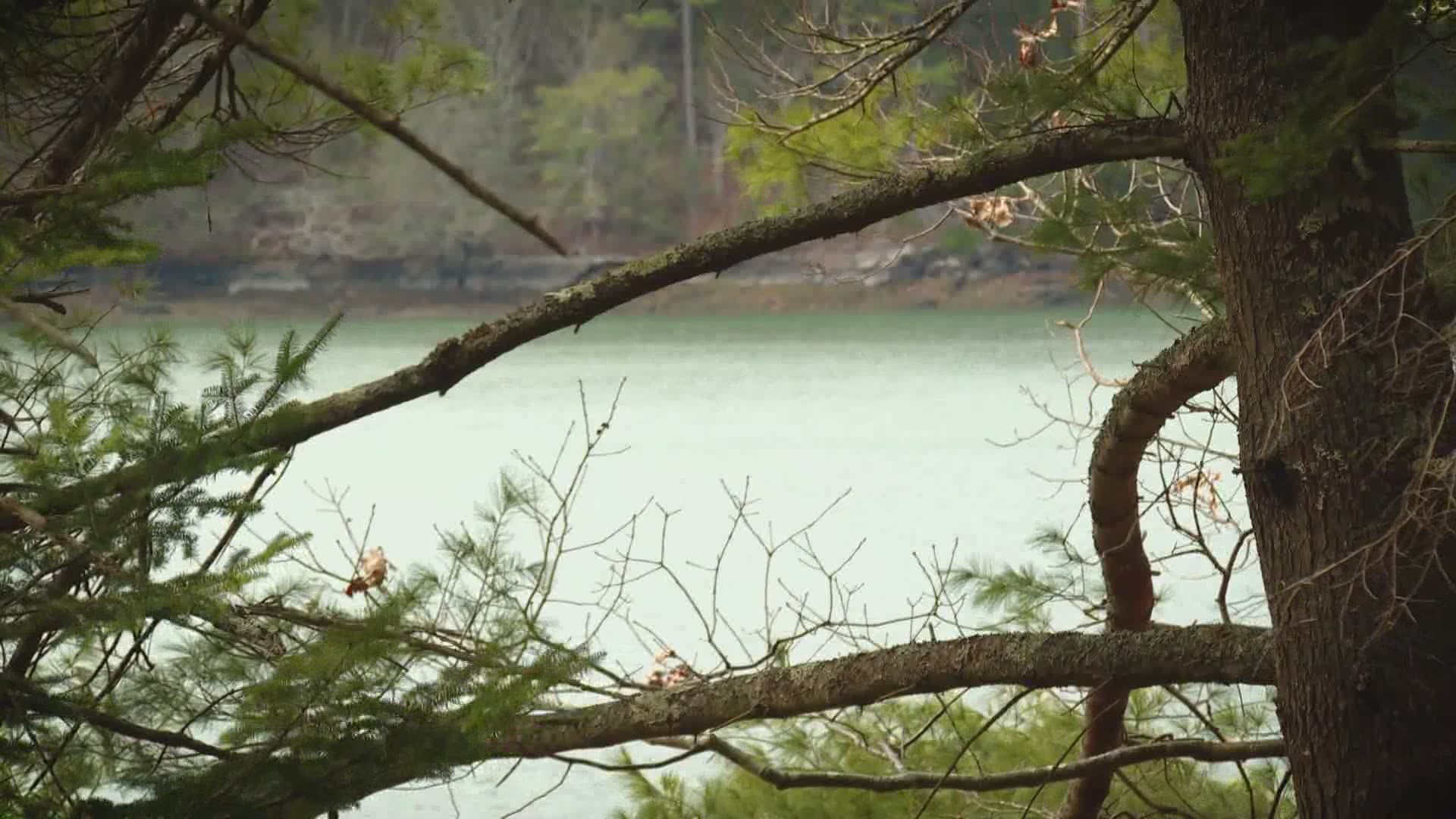 Photojournalist Kirk Cratty takes us to Cross River Preserve in Boothbay.
