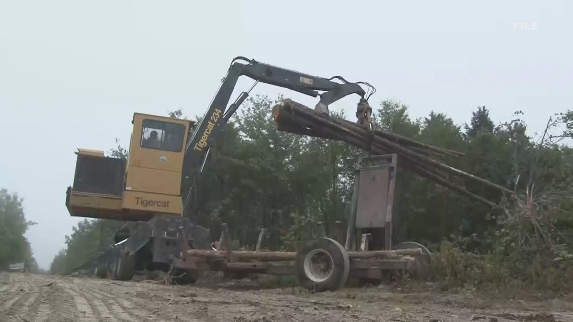 COVID-19 relief may include federal aid that would benefit Maine loggers and timber harvesters - Vimarsana News