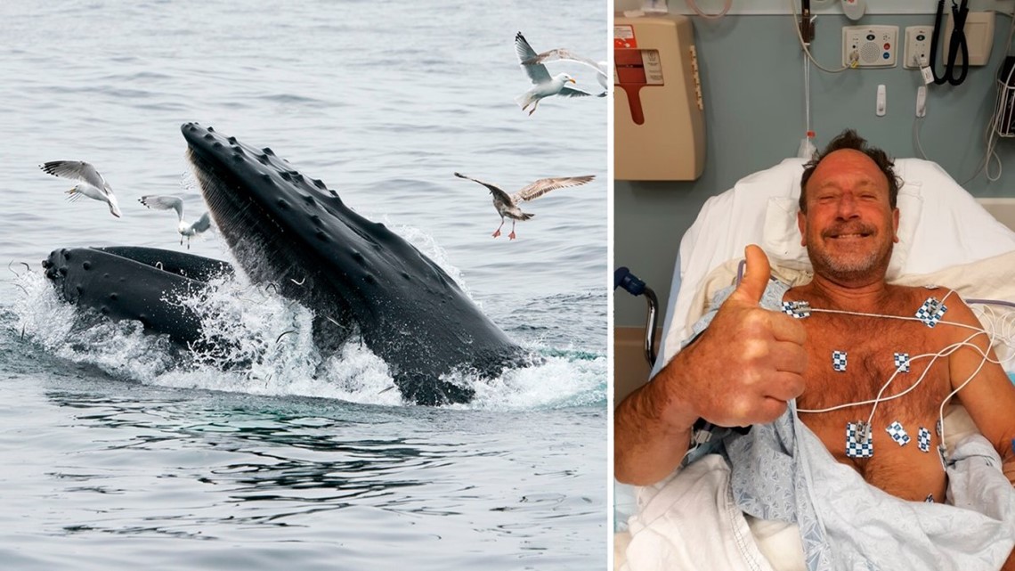 Cape Cod man's story of being swallowed by a whale