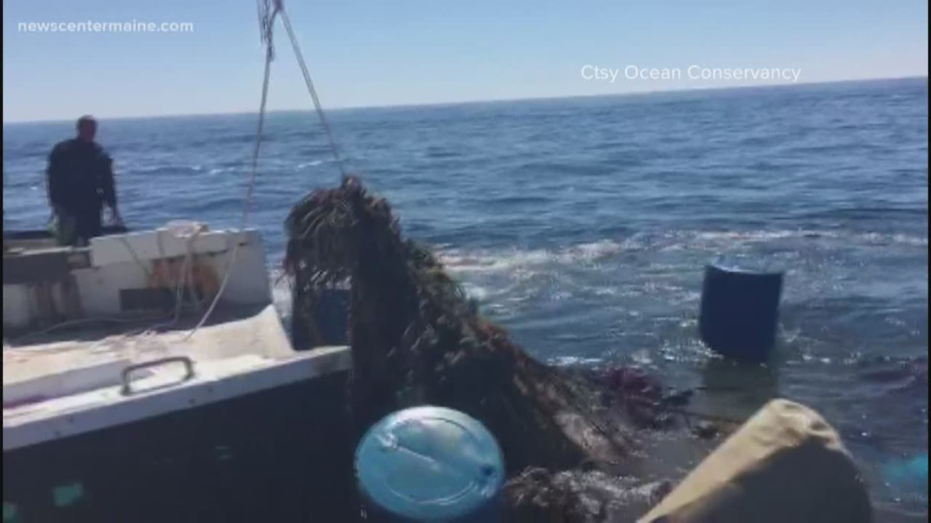 The debris was found off the coast of Cape Elizabeth.