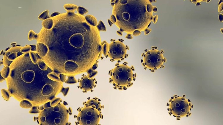NH’s 1st coronavirus patient, told to stay isolated, went to event instead
