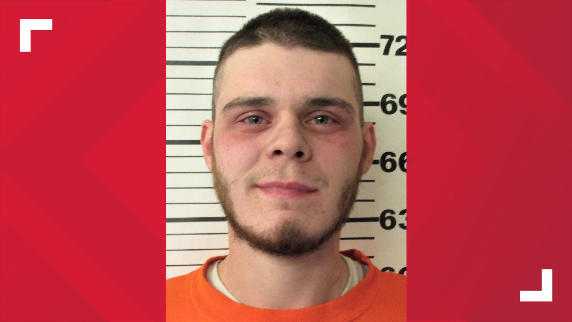 Milo Maine man arrested for killing cat and shooting at family