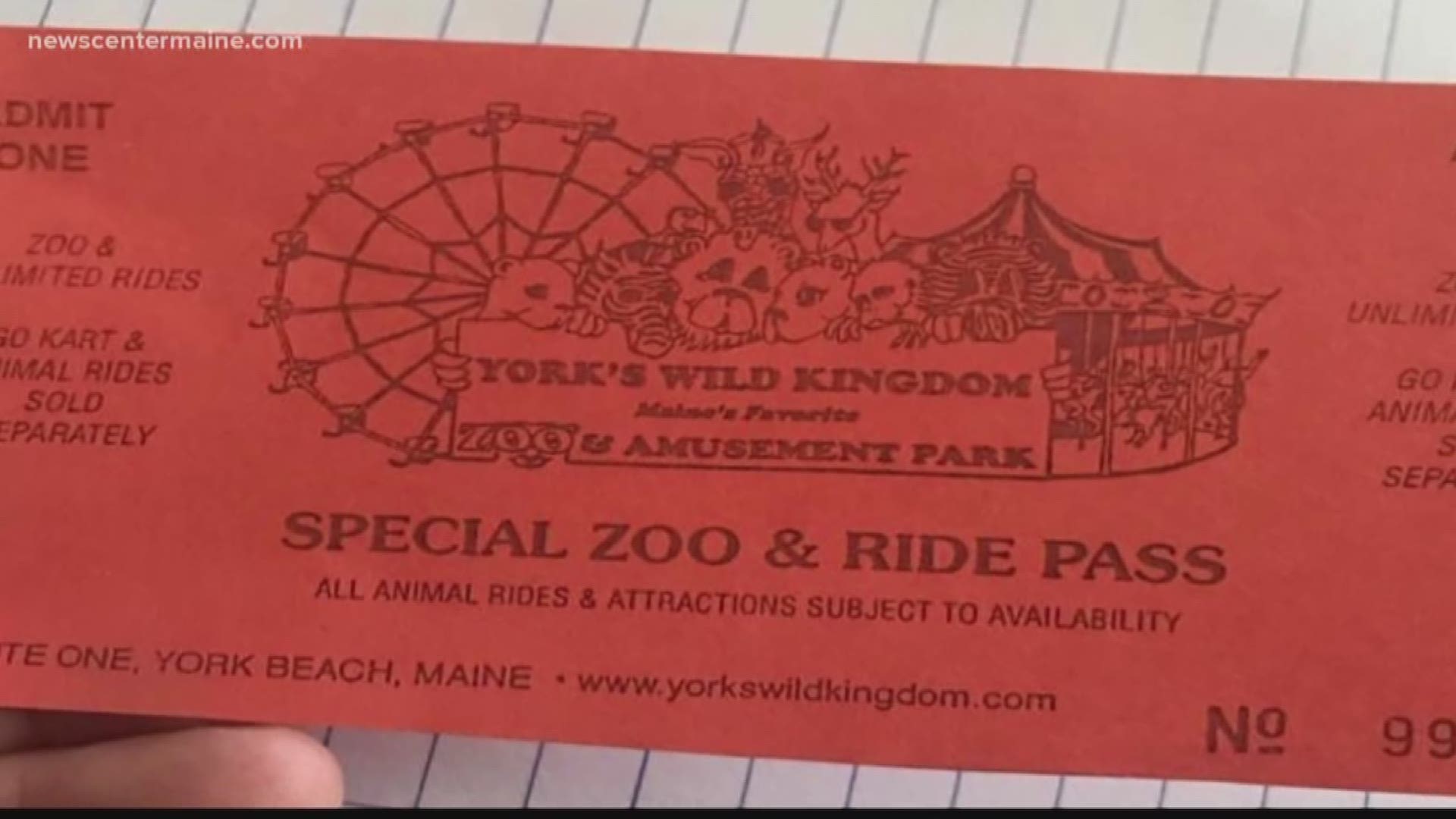 NOW: York's Wild Kingdom warns of fake tickets