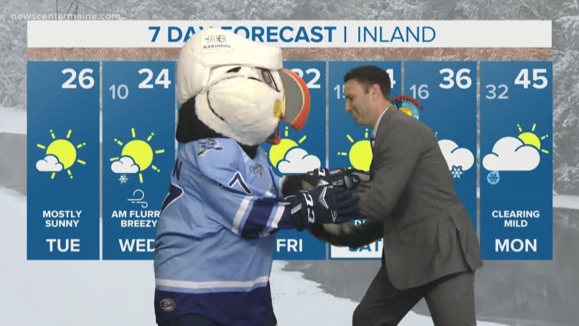 Ahead of several themed nights scheduled for the Maine Mariners upcoming games, Beacon the mascot visits News Center Maine with gifts to explain what hockey fans can expect. Plus, Todd gets his revenge from the last time he came had a face off with Mariners' puffin.