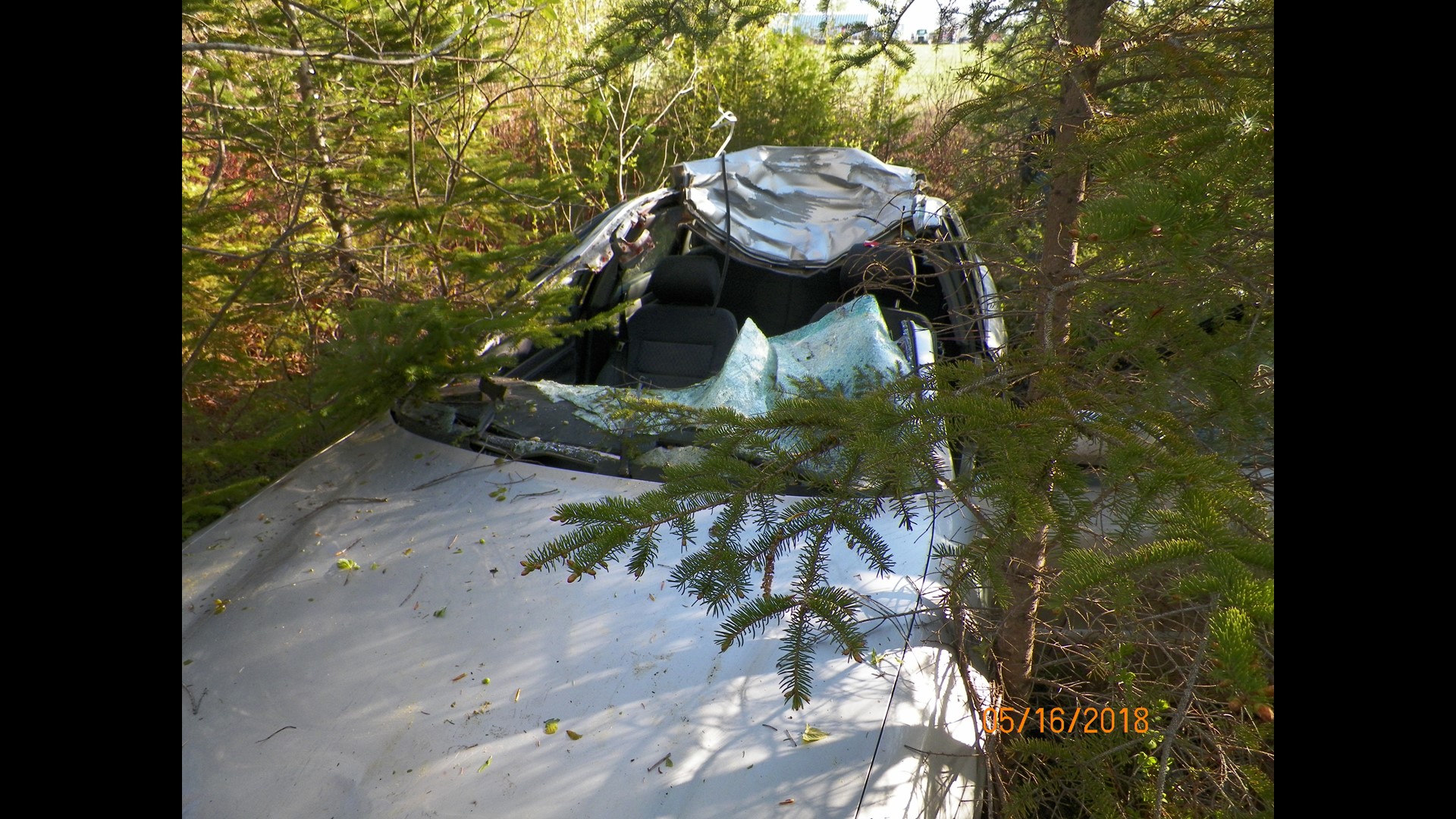 Moose vs. car crash kills moose, sends 2 to hospital