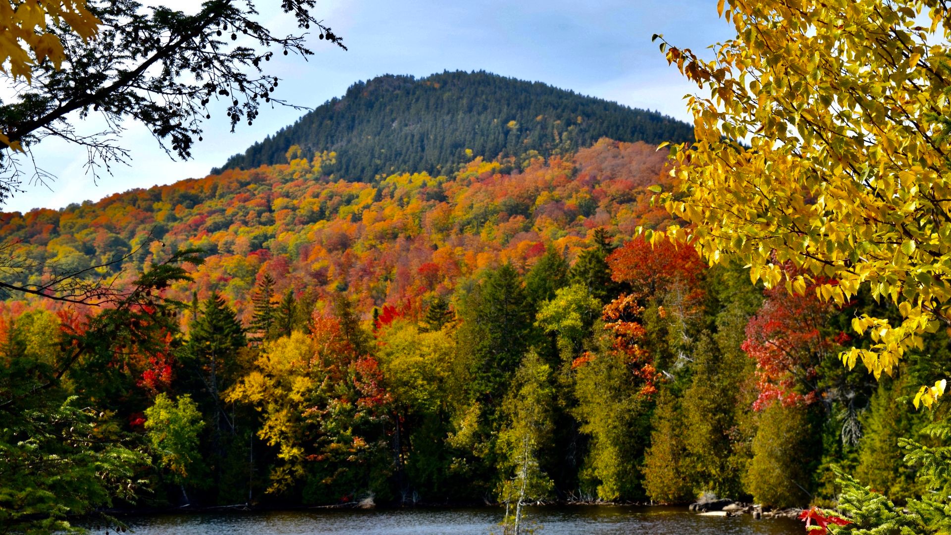 Maine fall foliage season comes to an end early due to drought