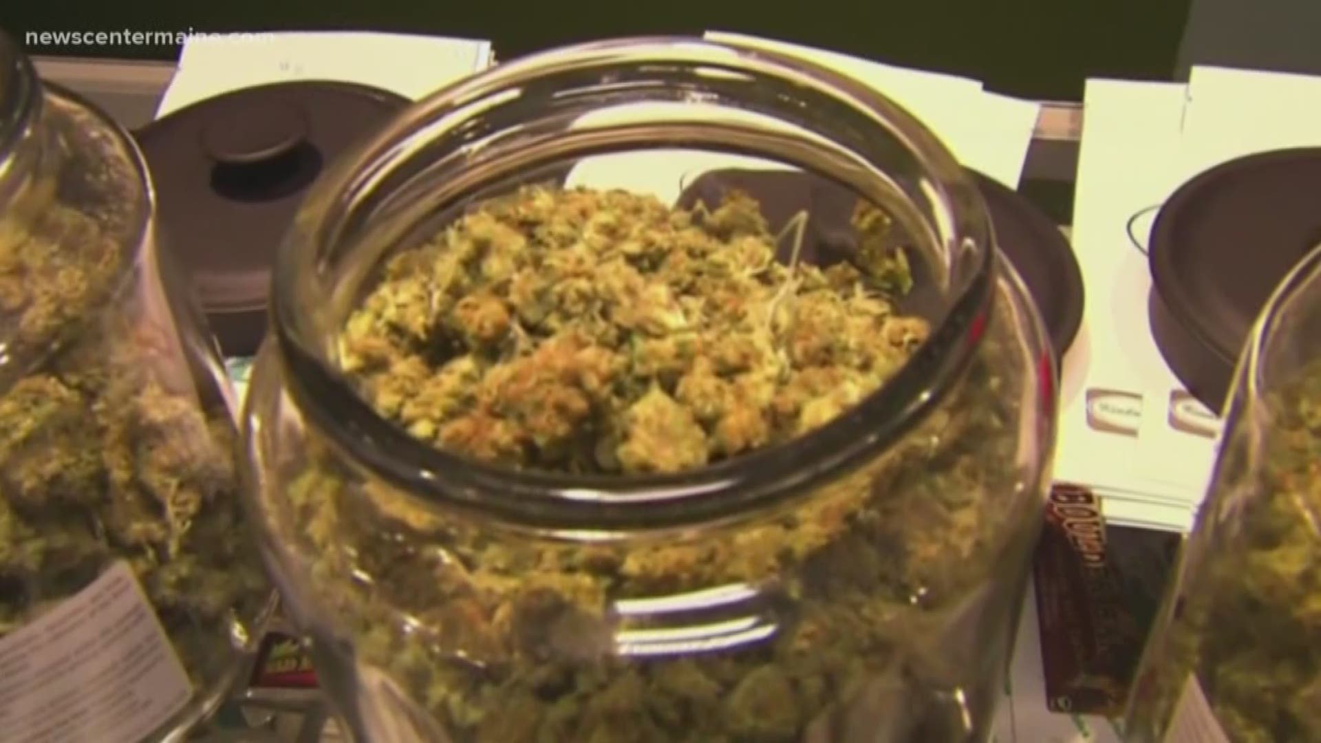 The Office of Marijuana Policy is expected to open up the application process for business owners Thursday.