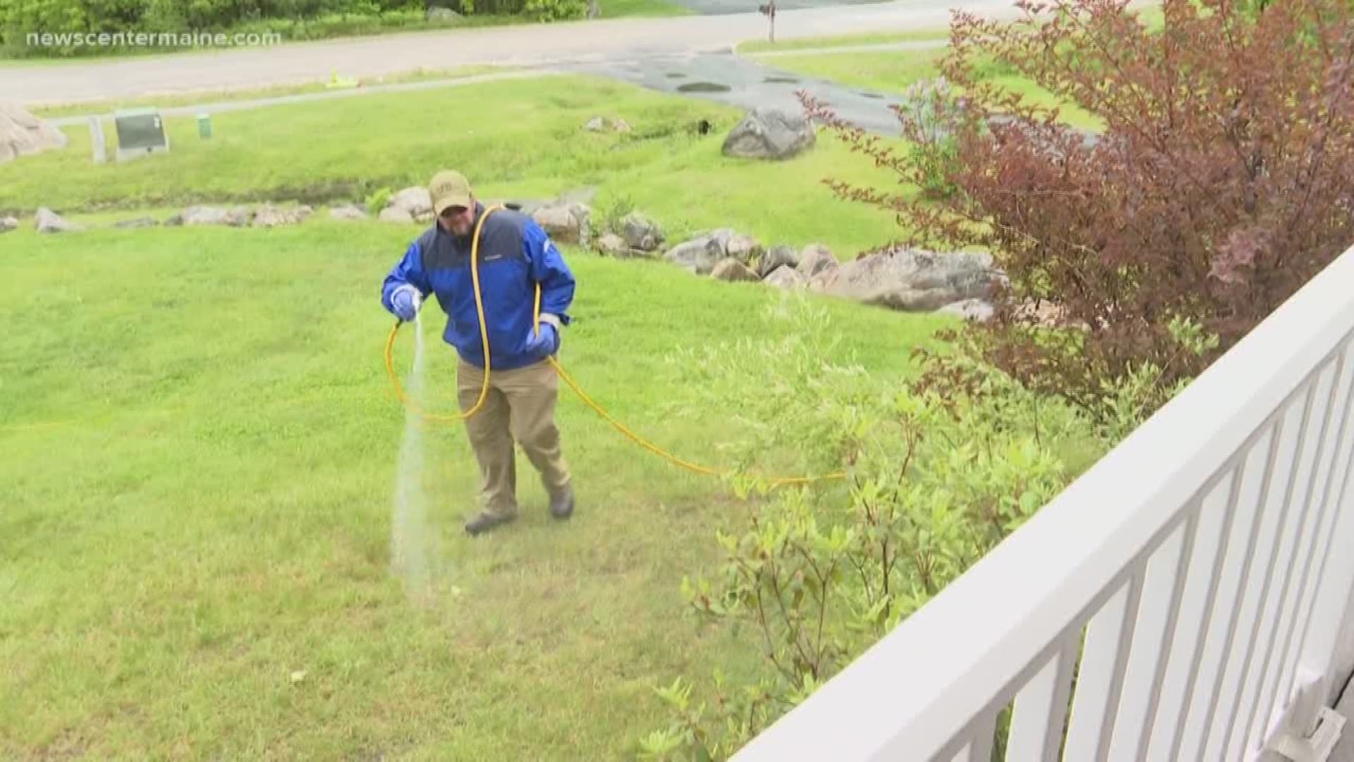 Companies in Maine are taking to the outdoors to help protect families from tick-borne diseases.