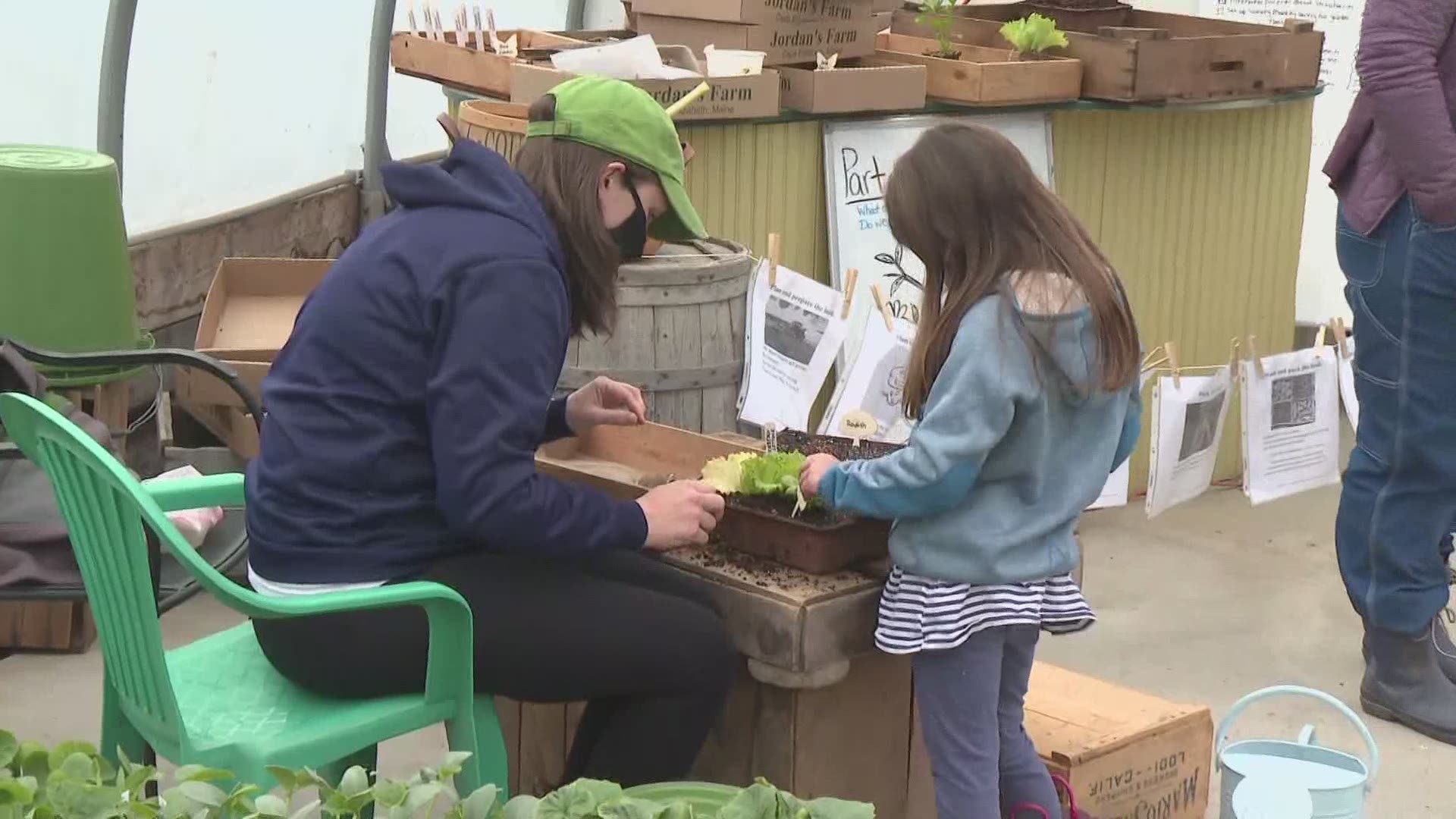 The farm hopes to expand the activity through the summer, and include strawberries once the season hits.