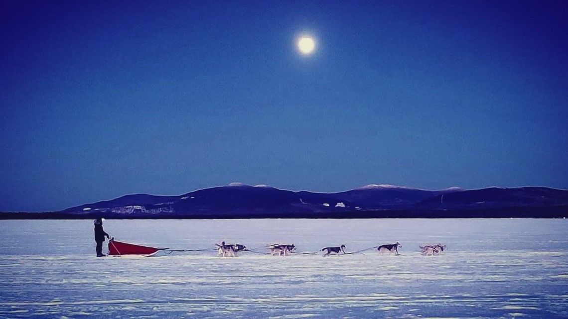 Honoring Togo's Legacy, a Maine Musher Sets His Sights on the Iditarod