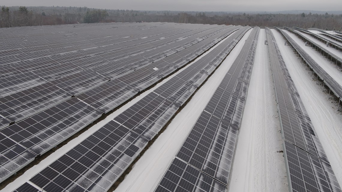 New solar farm in Milo set to power more than 10,000 homes