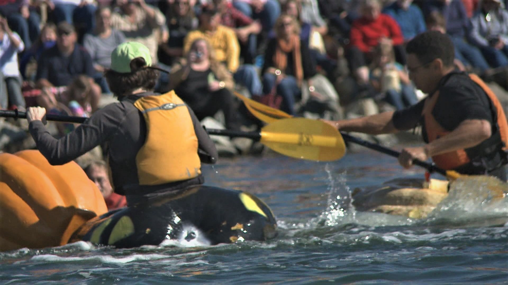 The annual tradition draws hundreds to the small town of Damariscotta to watch the pumpkins sink or swim.