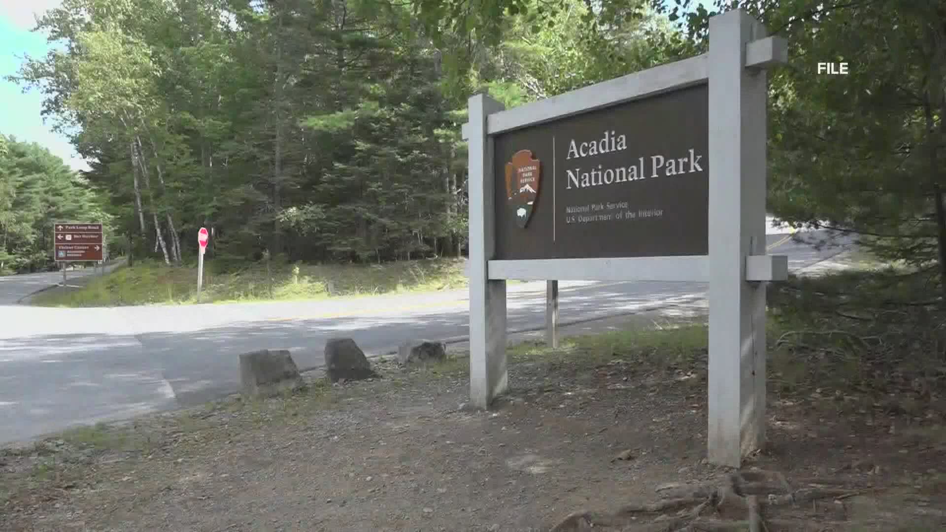 Friends of Acadia help bring the park to your home during COVID-19 pandemic