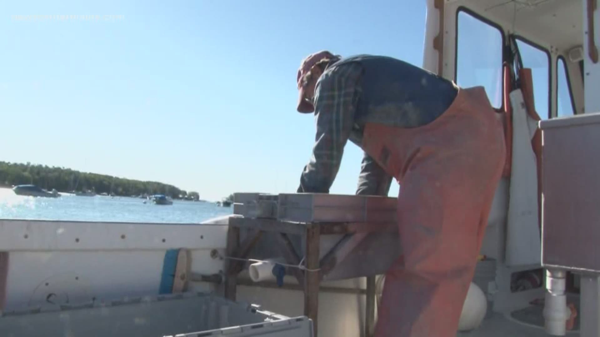 Maine seafood industry struggling after overseas market bottomed out