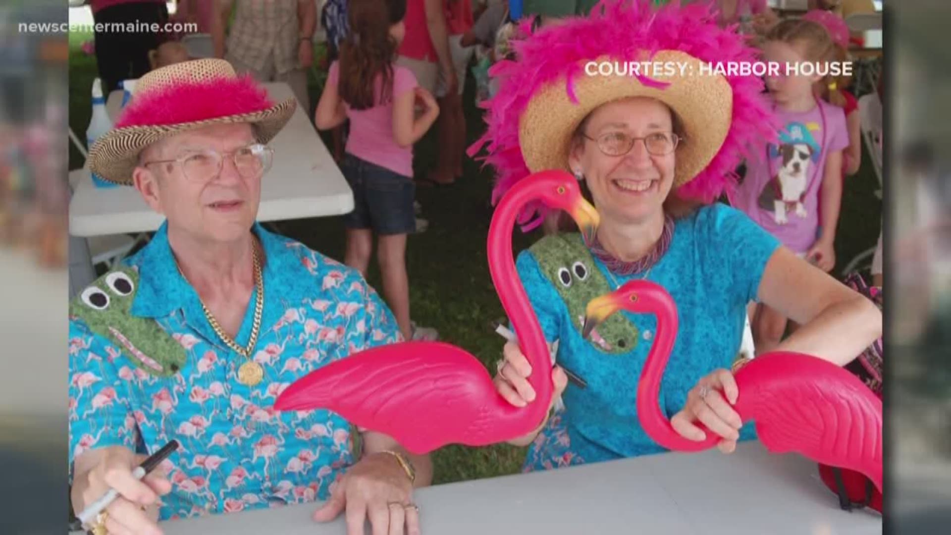 Don't miss the Flamingo Festival in Southwest Harbor on the weekend of July 13 & 14. There will be a parade, lobster bake, Flamingo run, and cocktail parties just to list a few of the events.
