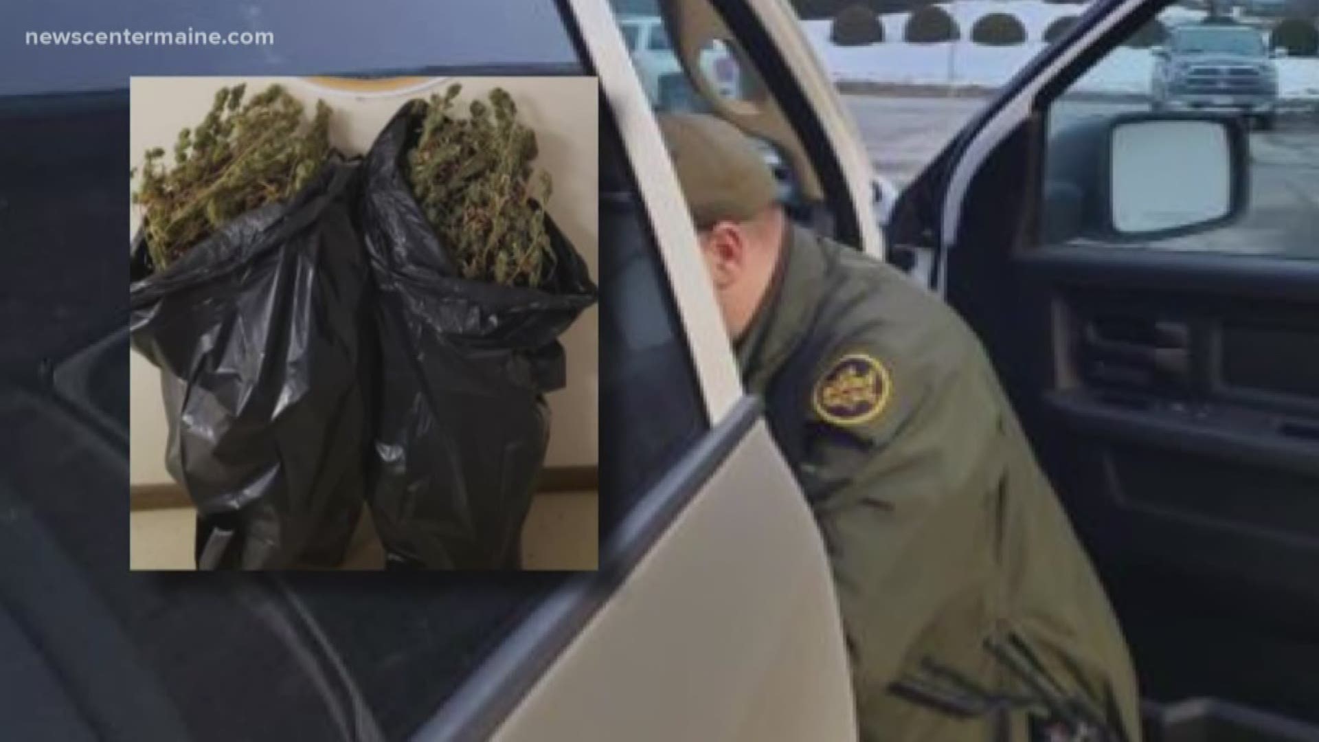 The more than 5 pounds of marijuana seized at the Houlton border exceeded Maine law's allowable recreational amount.