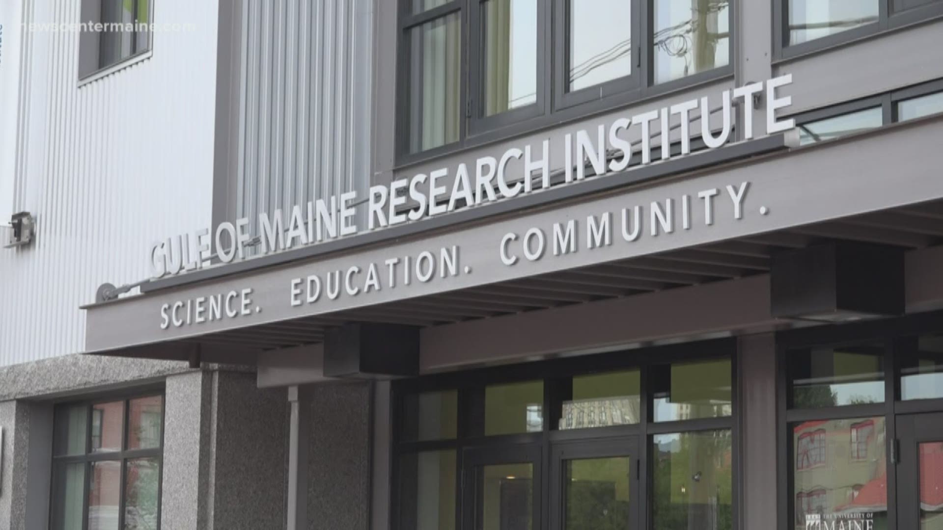 Gulf of Maine Research Institute launches climate change task force