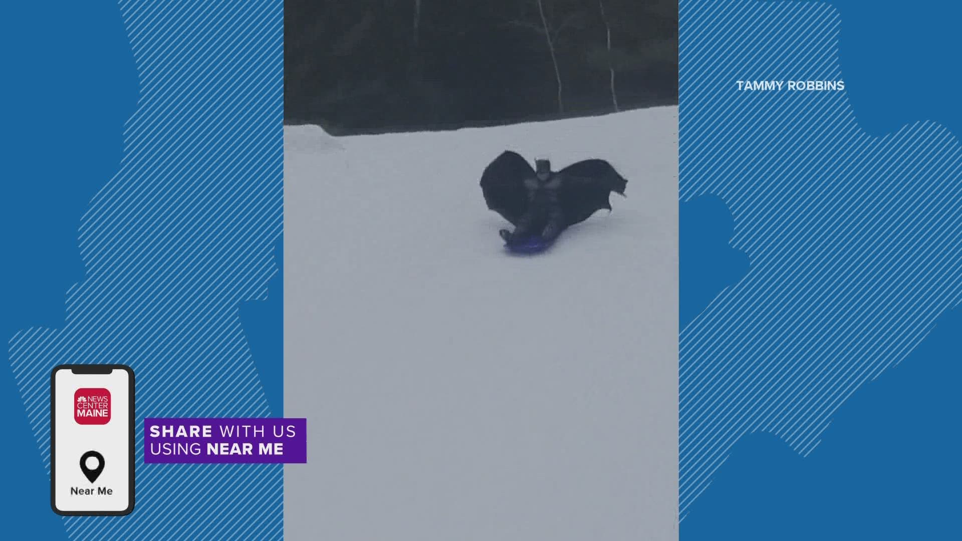 Batman was caught enjoying the snow. Even heroes need to have fun after fighting crime.
