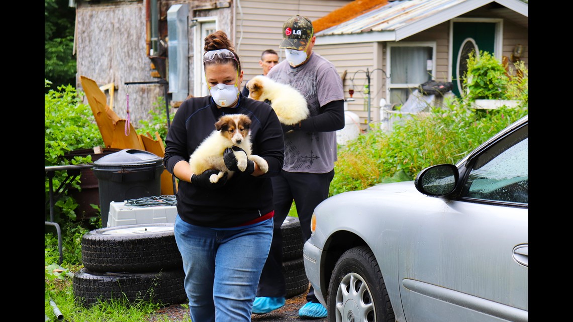 80plus animals rescued from property in Solon