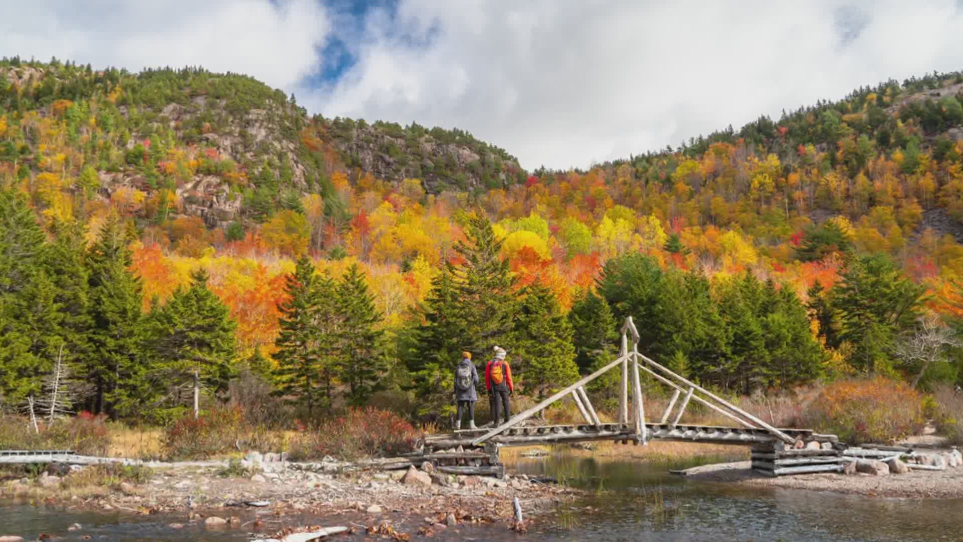 “Down East” takes an admiring look at autumn in Acadia