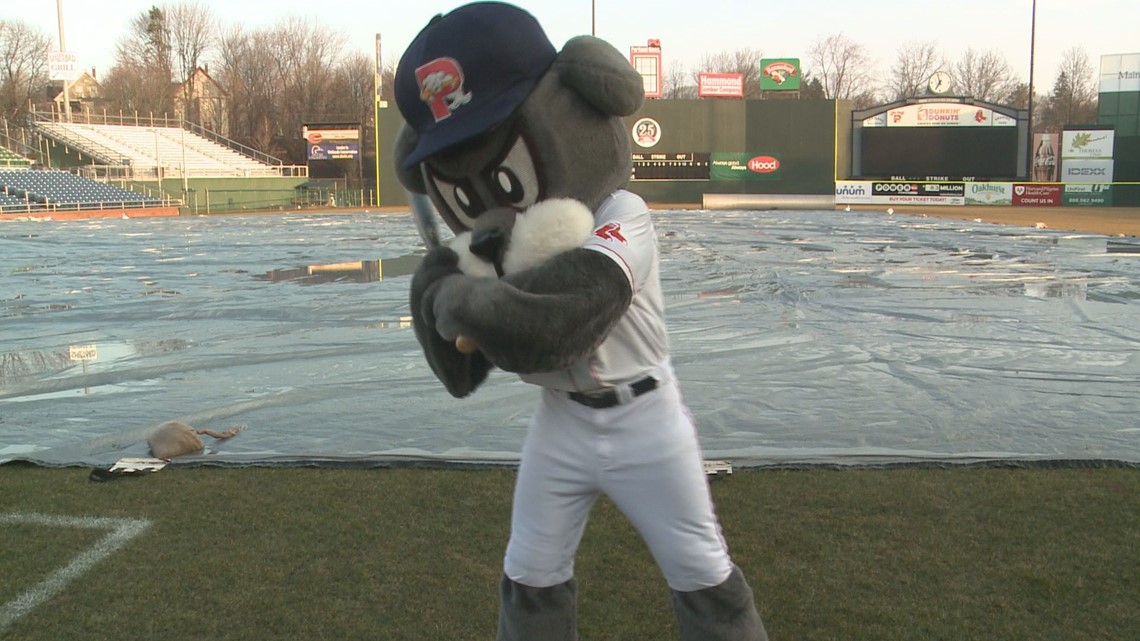 Wally the Green Monster nominated for Mascot Hall of Fame - Boston News,  Weather, Sports