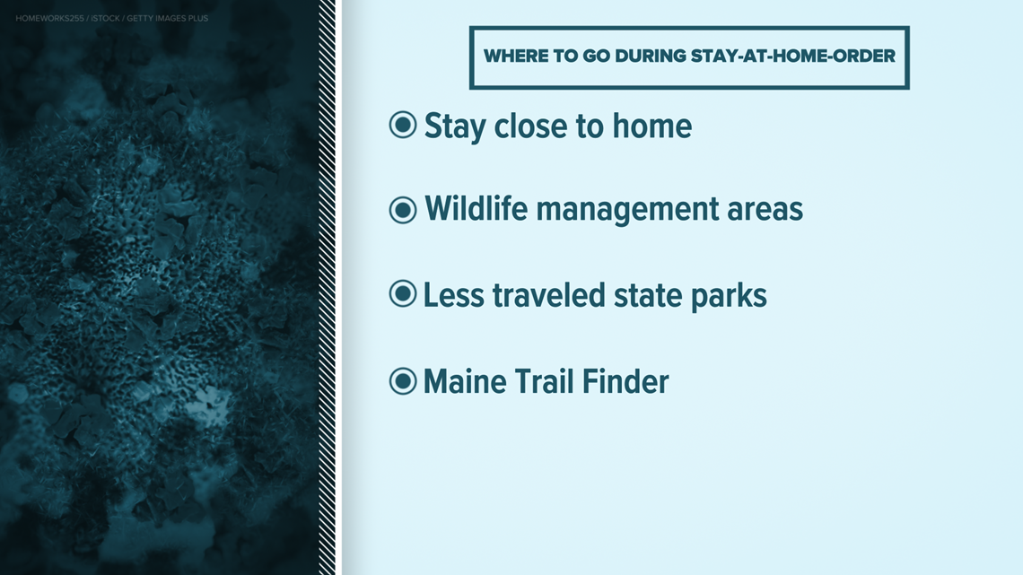 Date Of Mn Stay At Home Order