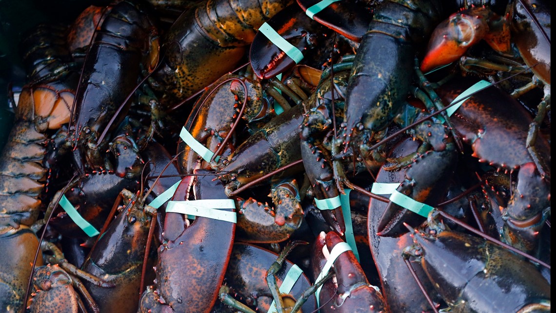 Maine lobster industry nets $2 million for research - NewsCenterMaine.com WCSH-WLBZ