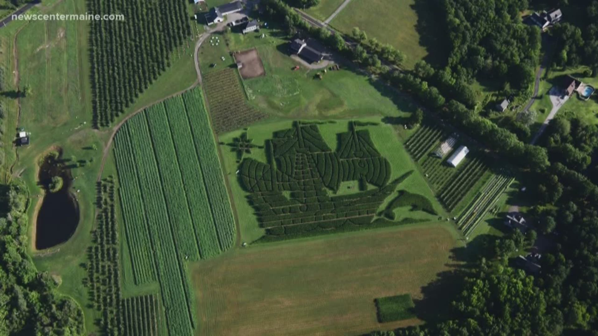 Levant corn maze named top 10 in nation