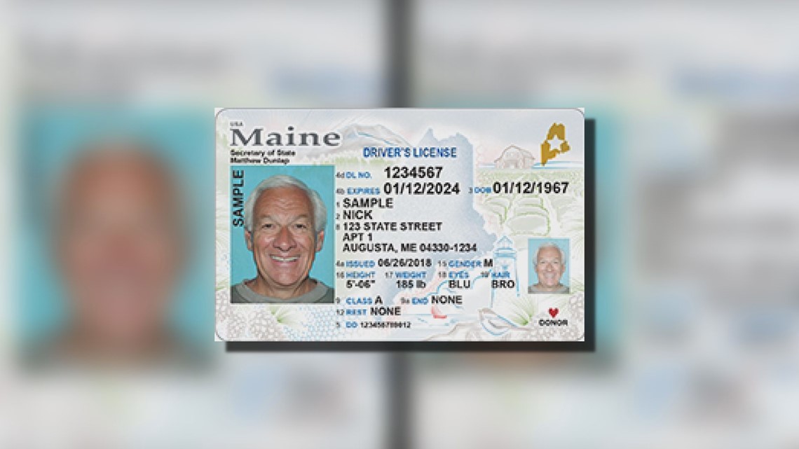 maine drivers license check