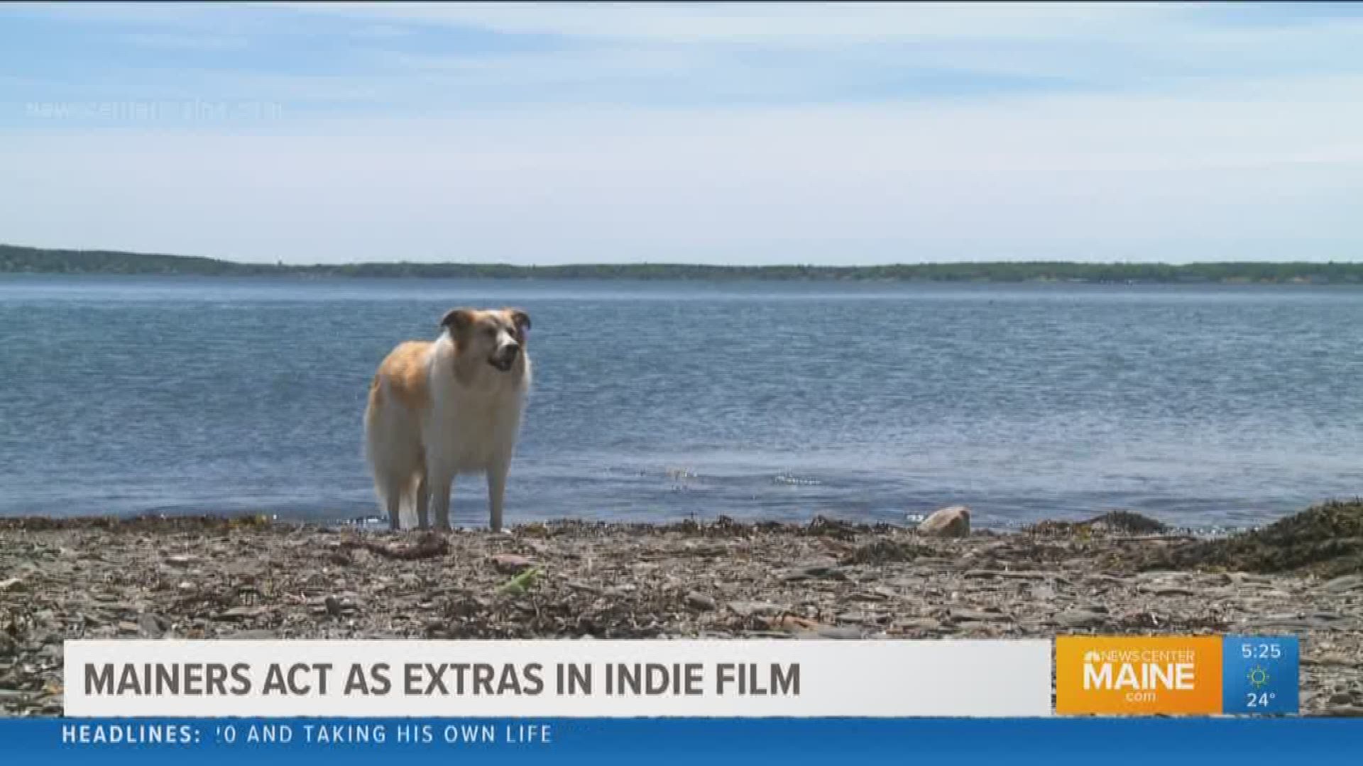 Harpswell gets starring role in indie film