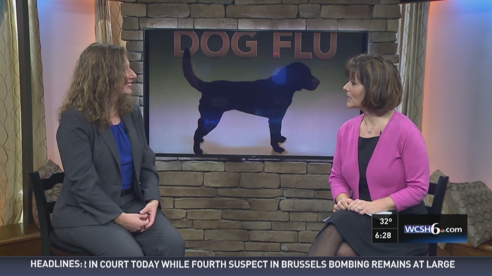 Protecting your dog from canine flu
